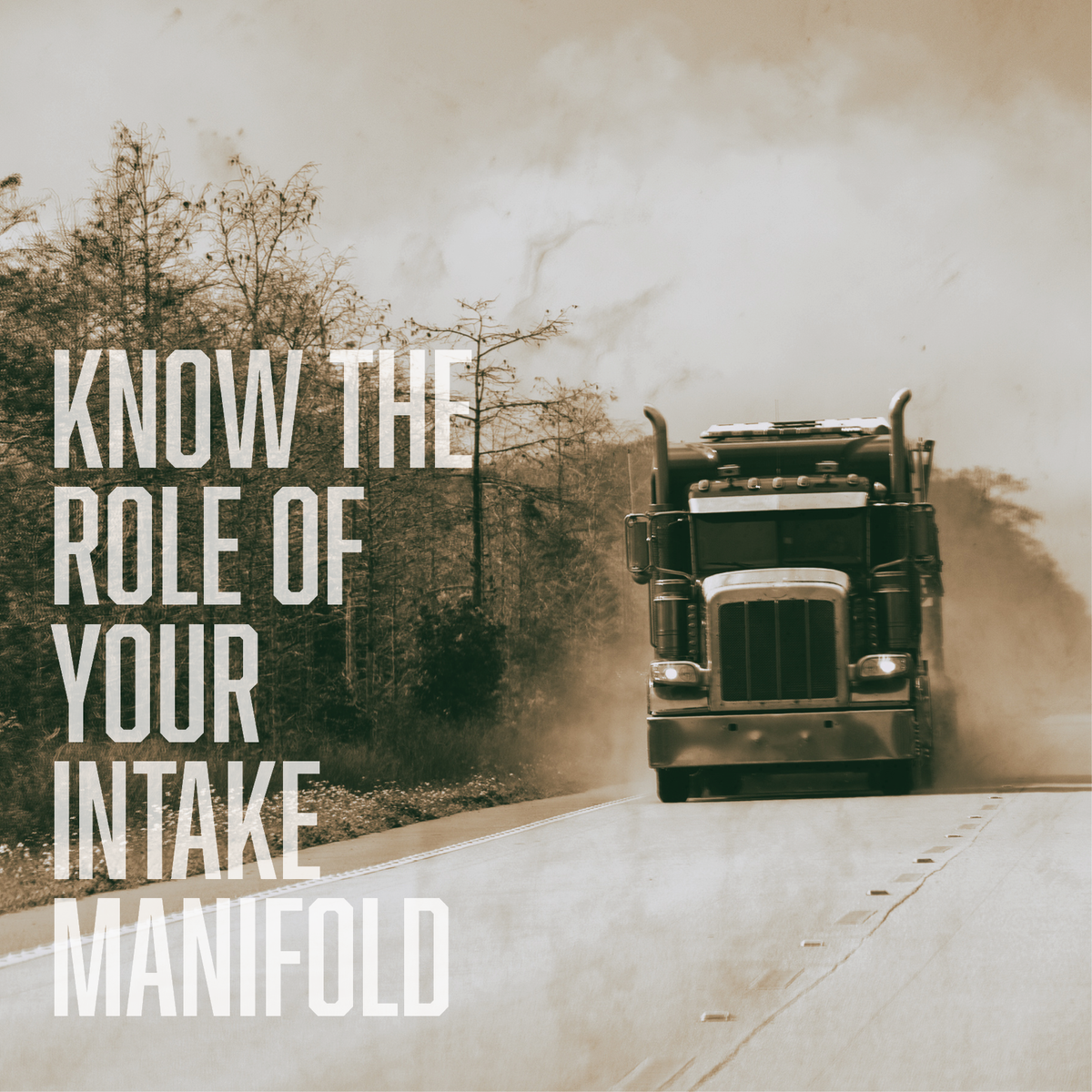 Your Intake Know the Role of Your Intake Manifold